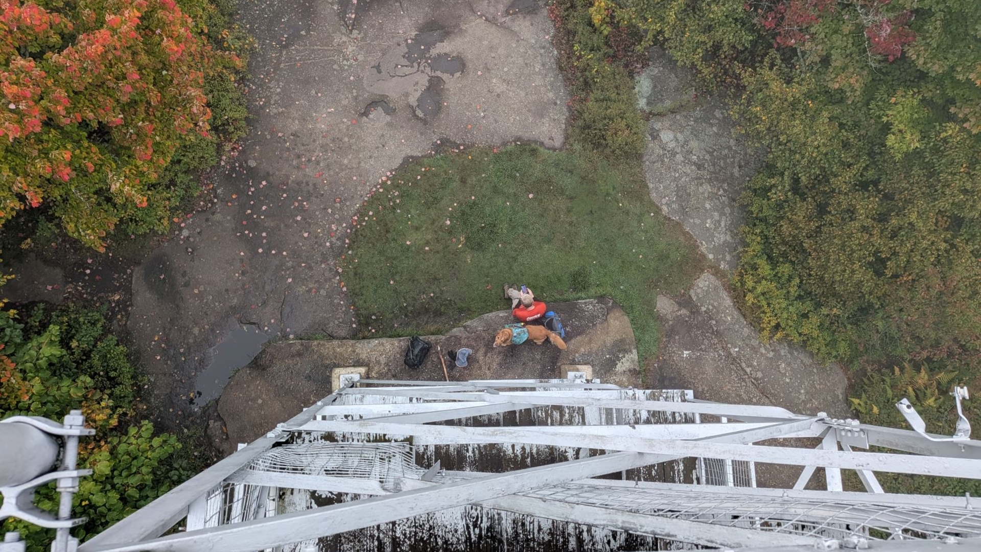 Dan and Sunny waiting at the bottom of the fire tower.