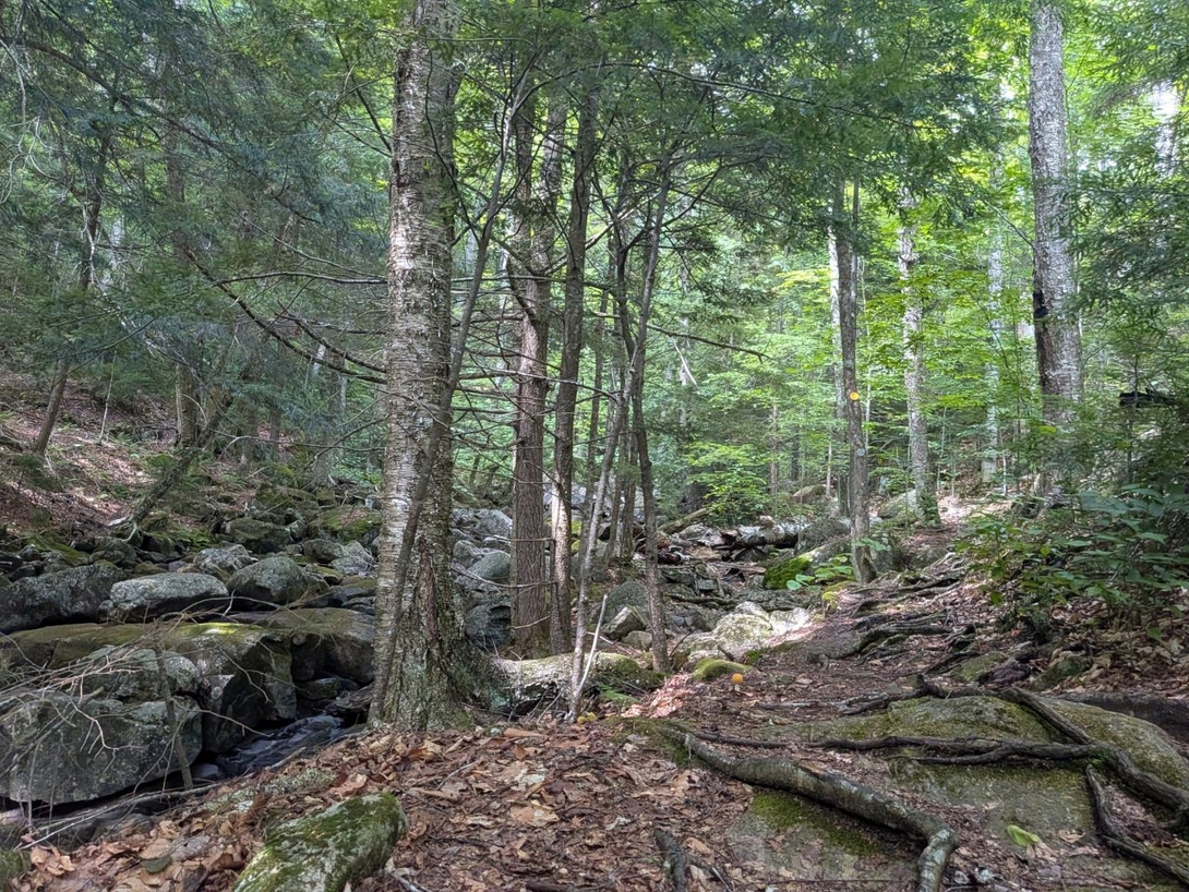 trail