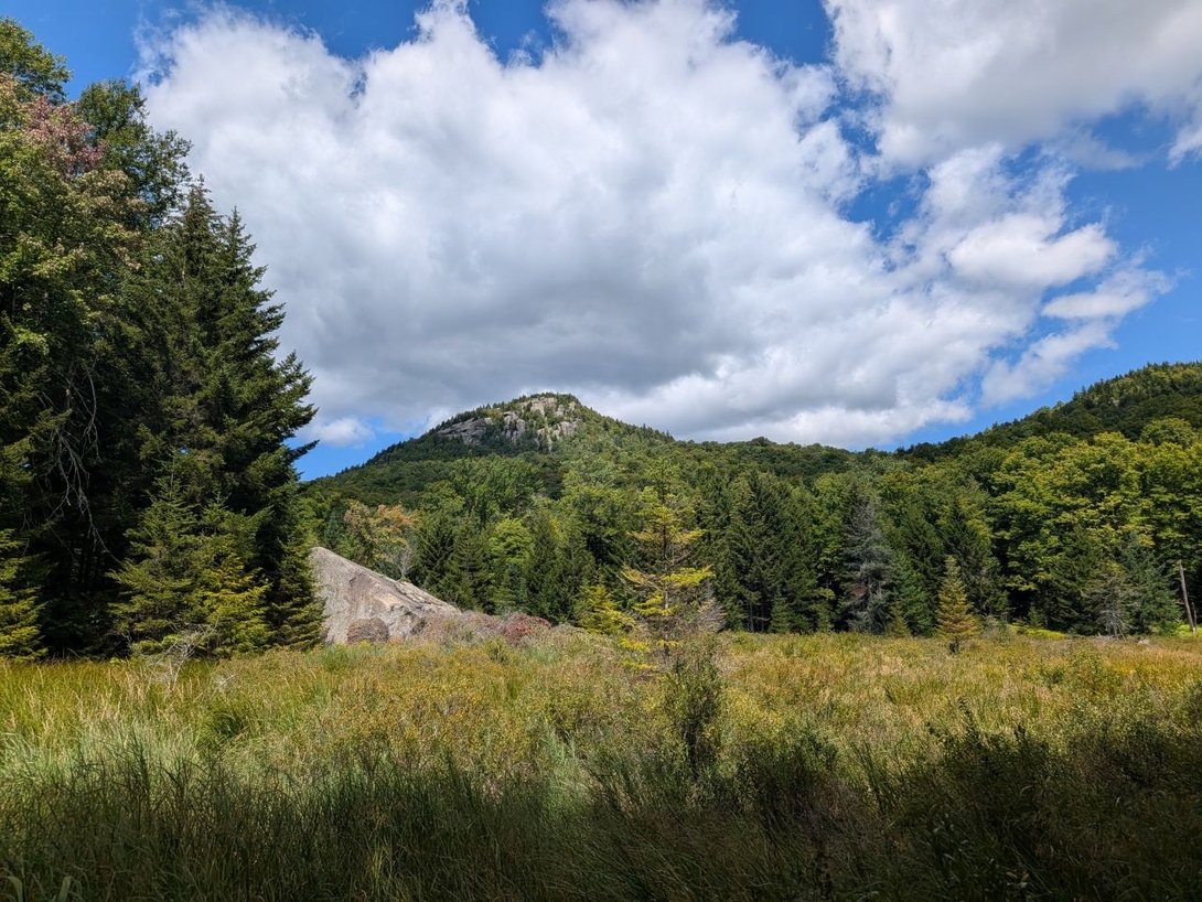 peaked from the  trail