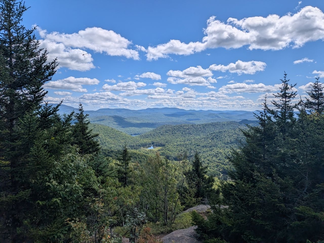 The view