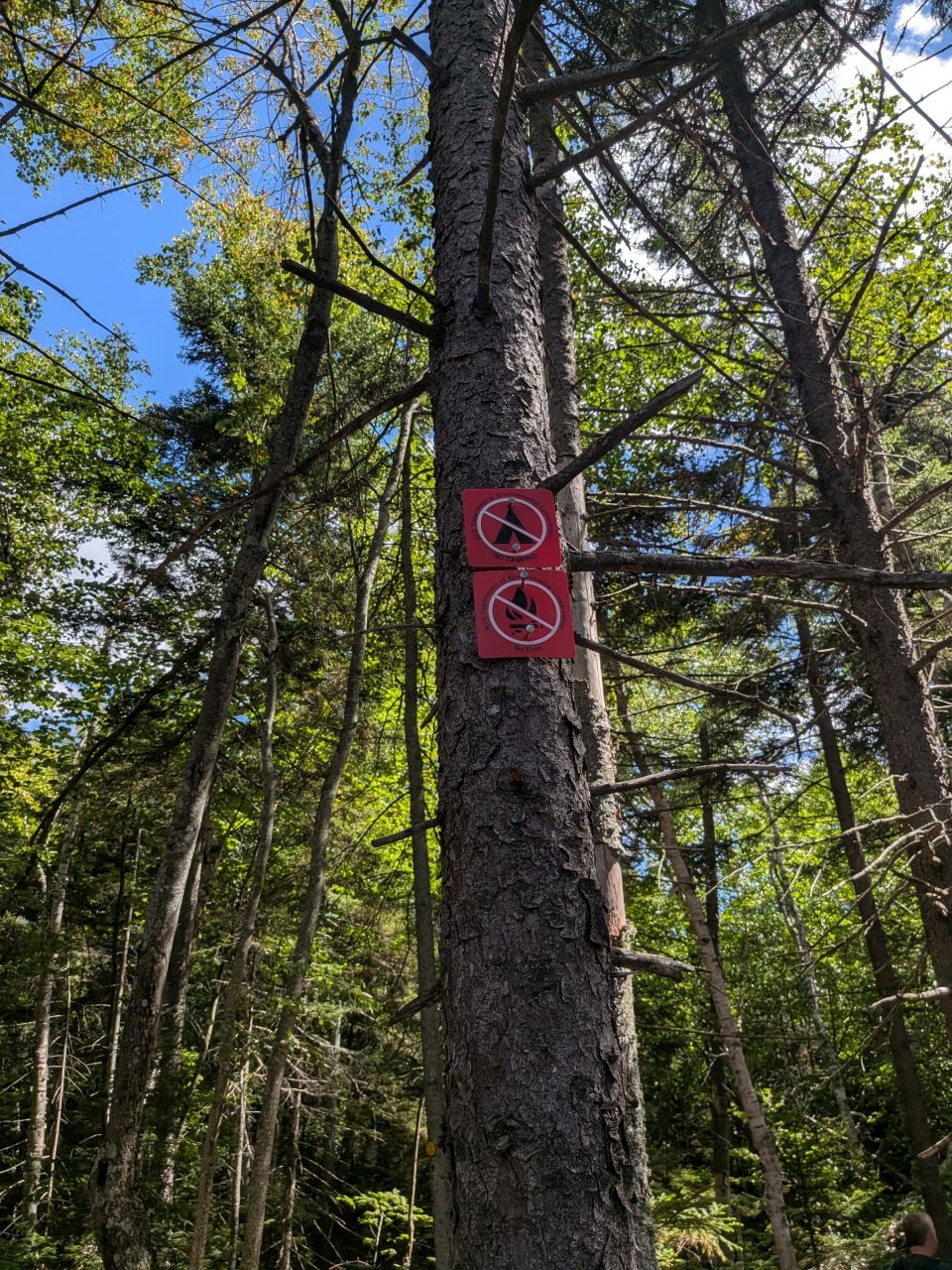 no camping