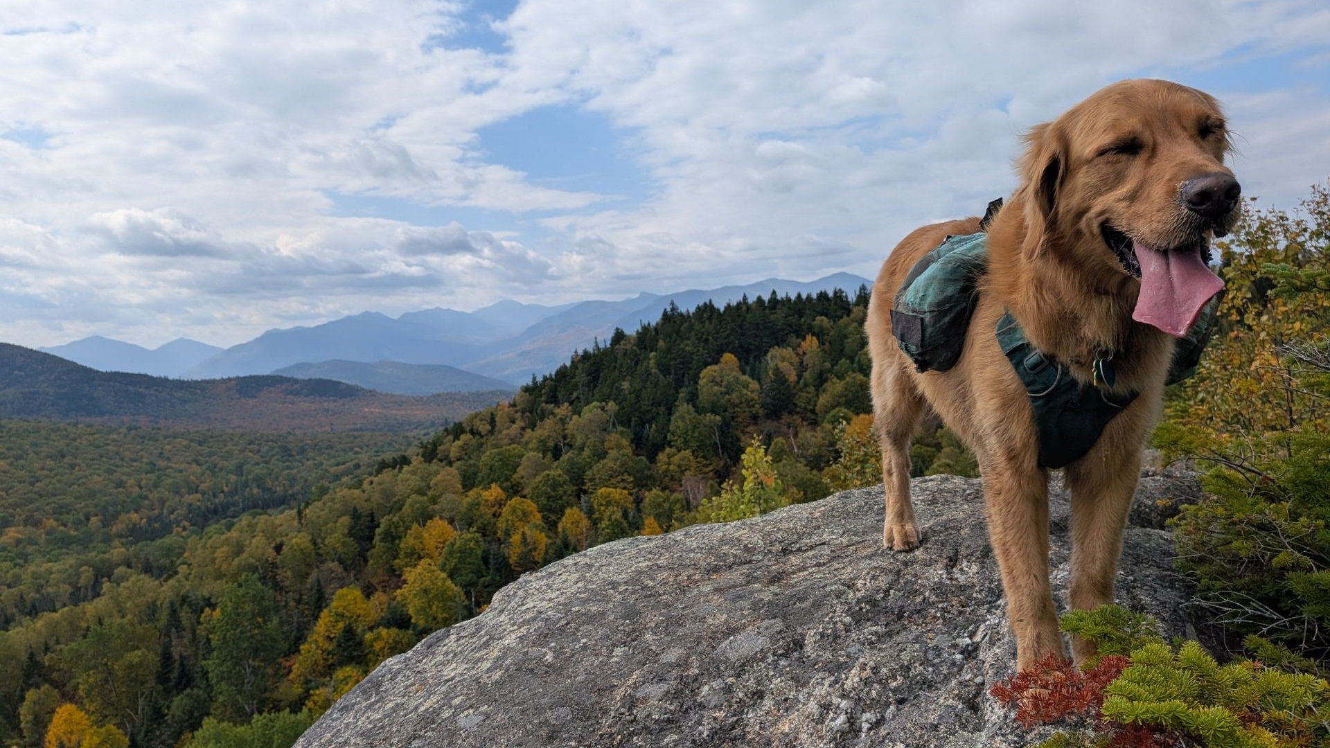 Sunny on soda range
