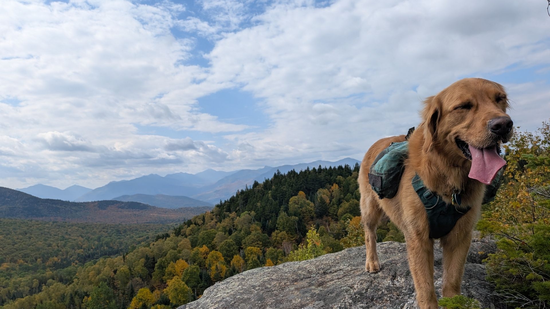 Sunny on soda range