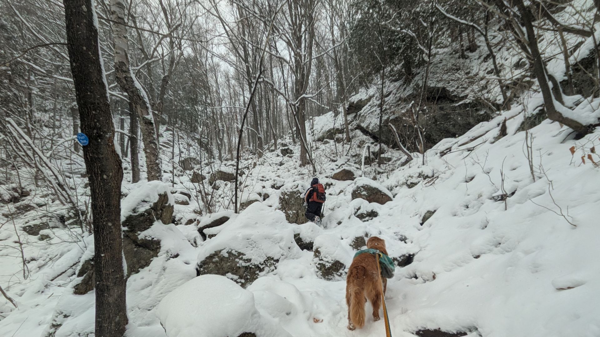 giant washbowl climbing up