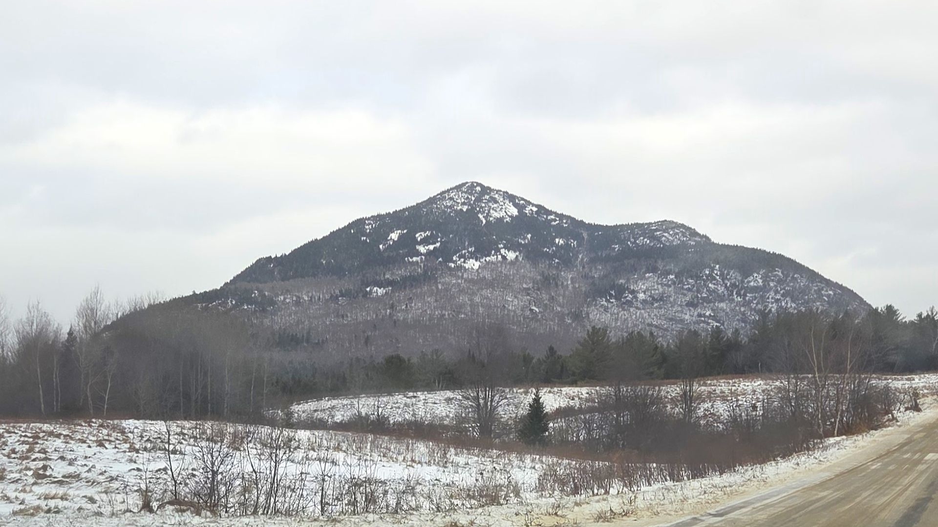 Catamount wilmington