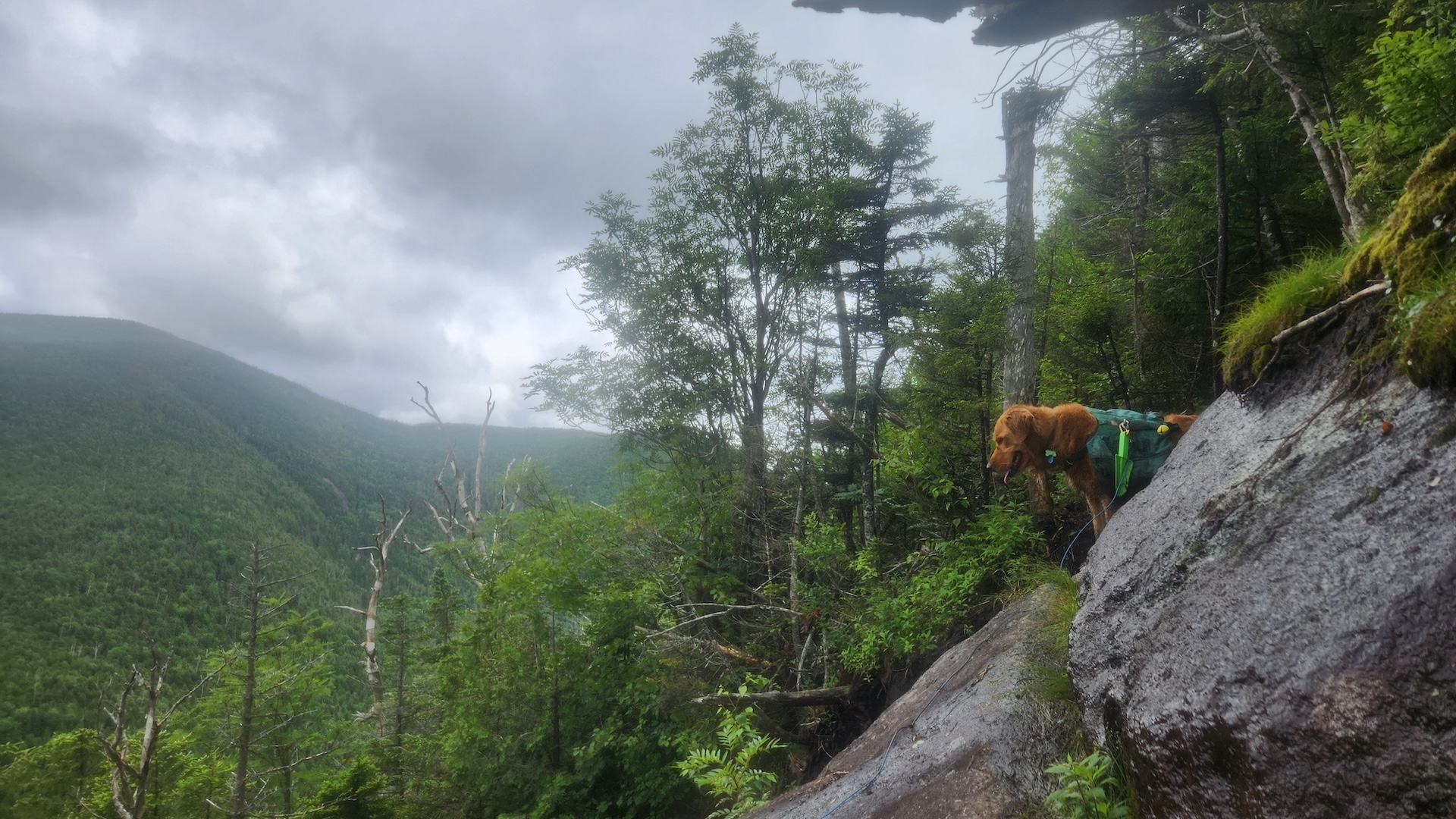 The cliffs of Cliff.