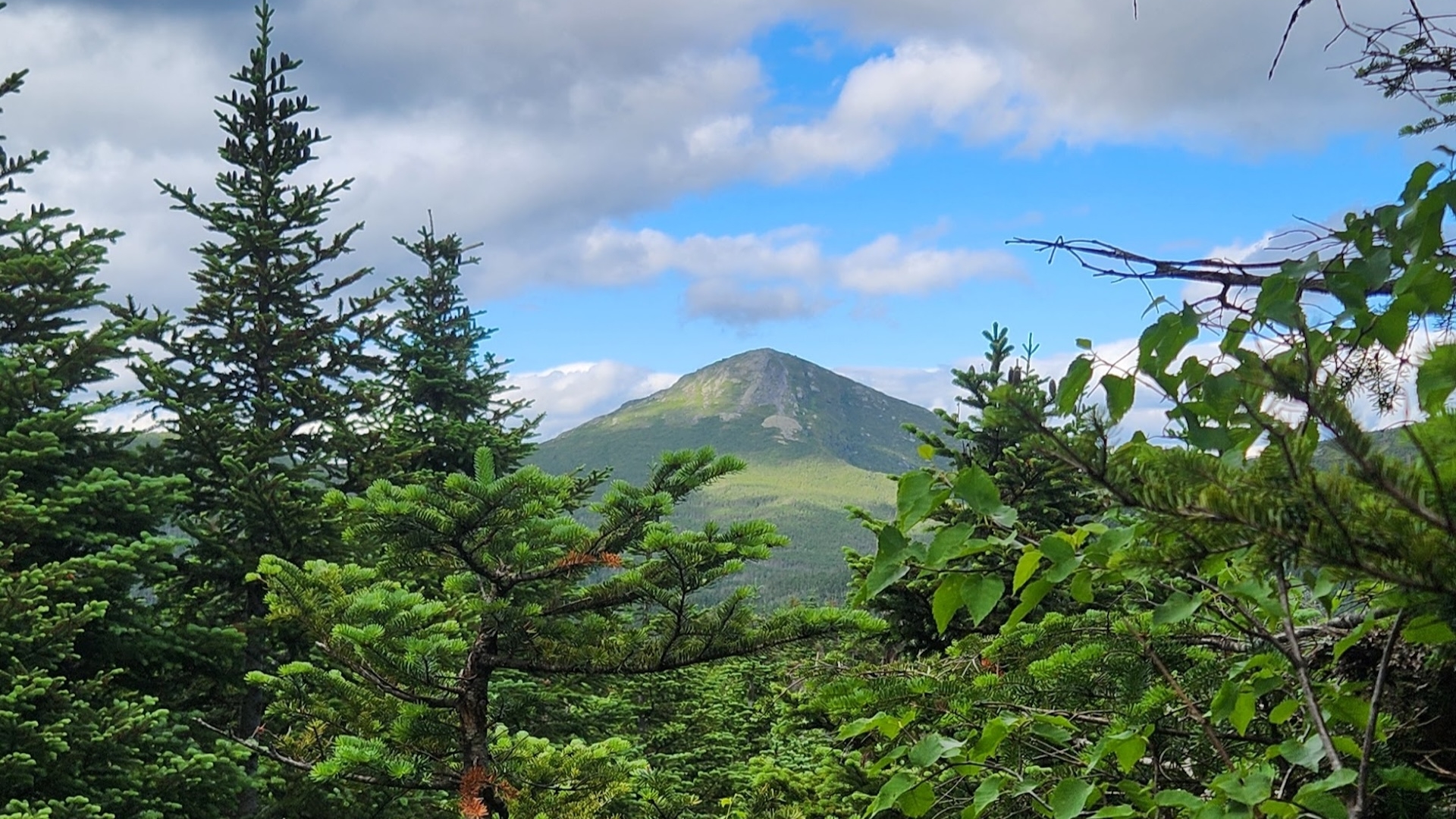 Marcy, as seen from Mt.Redfield.
