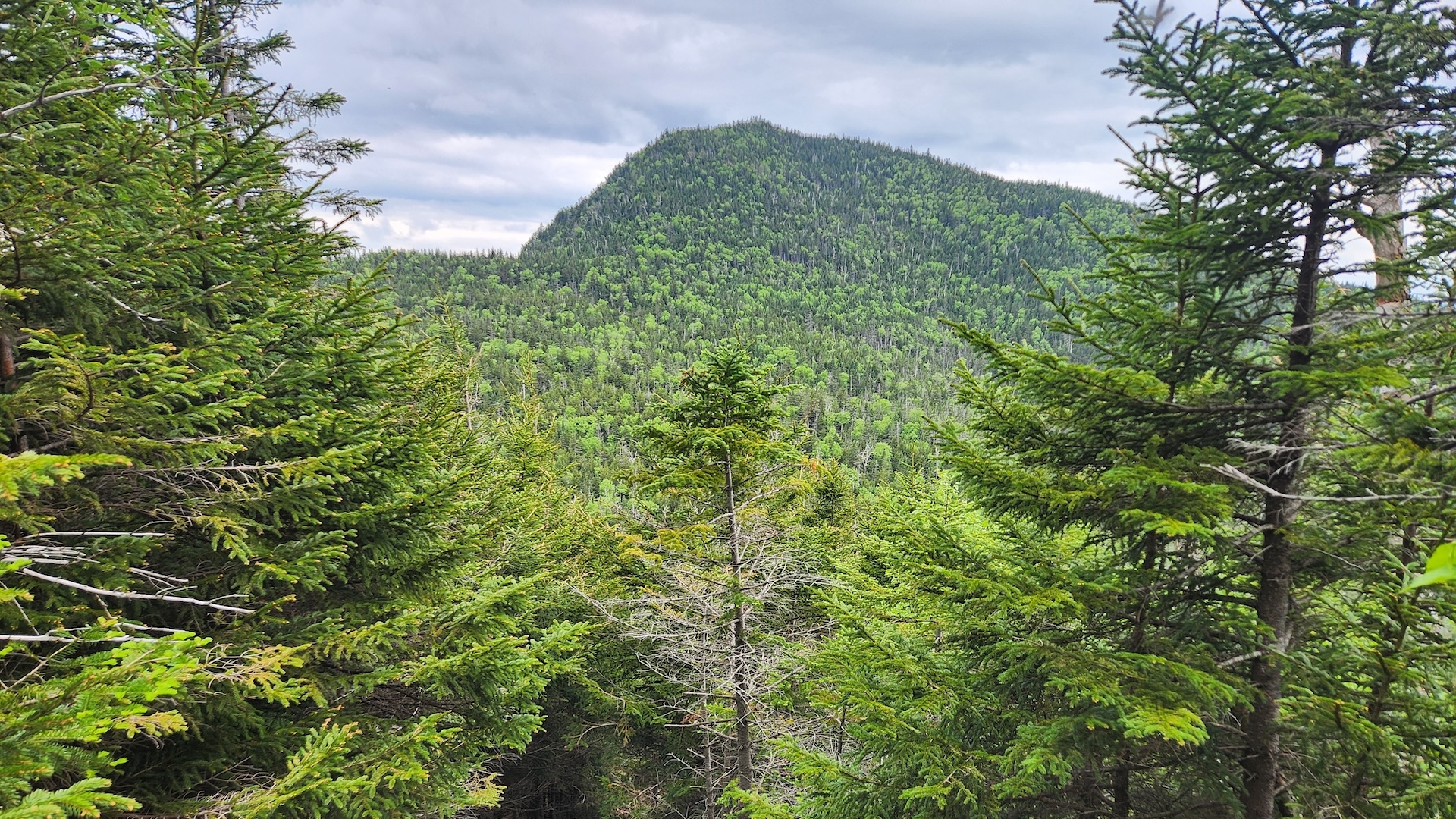 Blake Peak as seen while descending from Colvin.