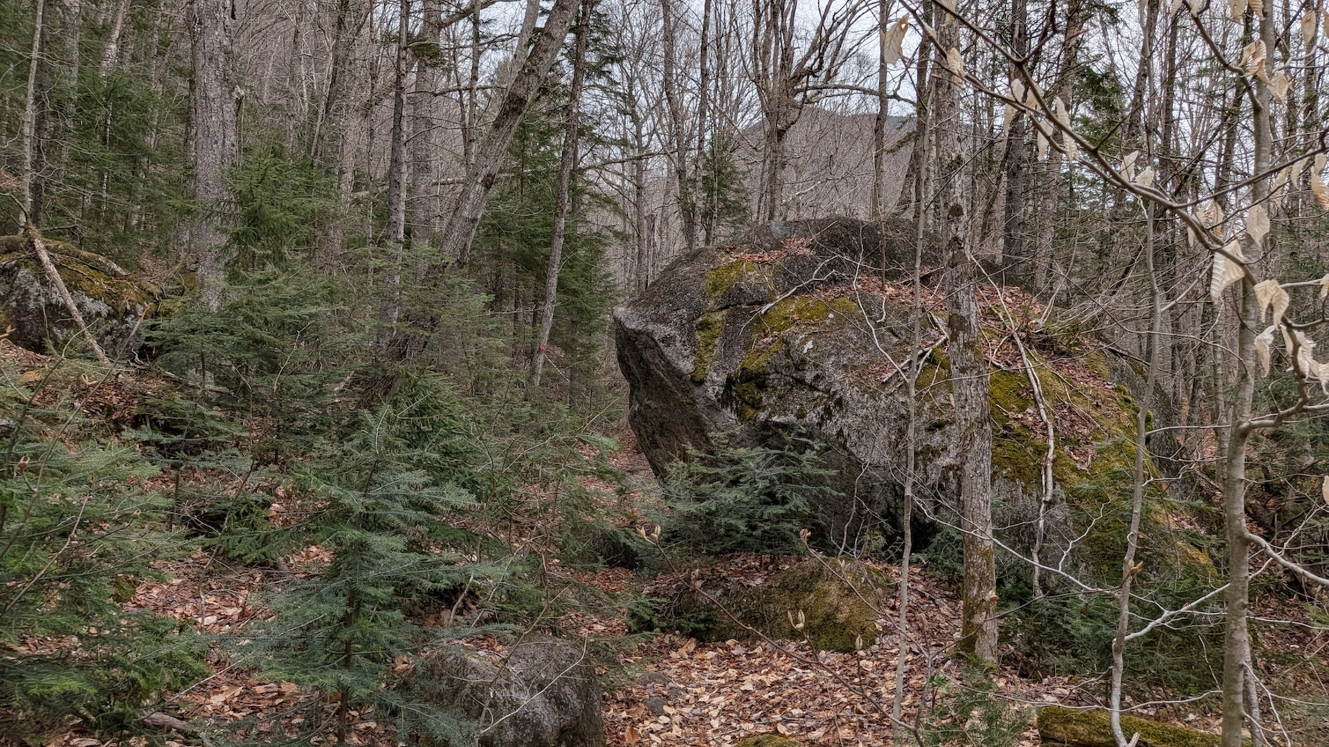 Big rock in indian pass