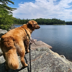Sunny Days at lost pond