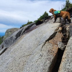 Sunny on Panther