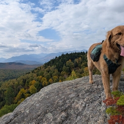 Sunny on soda range
