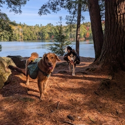 Sunny and Zuko at Clear Pond