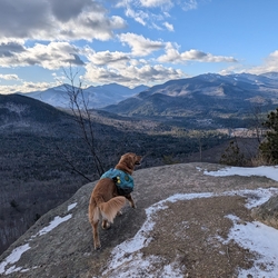 Sunny on Baxter