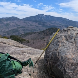 giant  from Rooster Comb