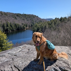 Sunny at the inman pond overlook