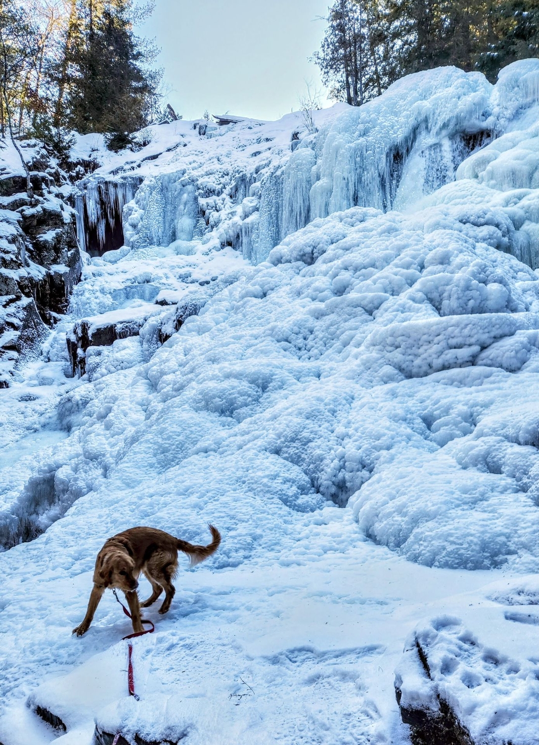 sunny at frozen waterfall