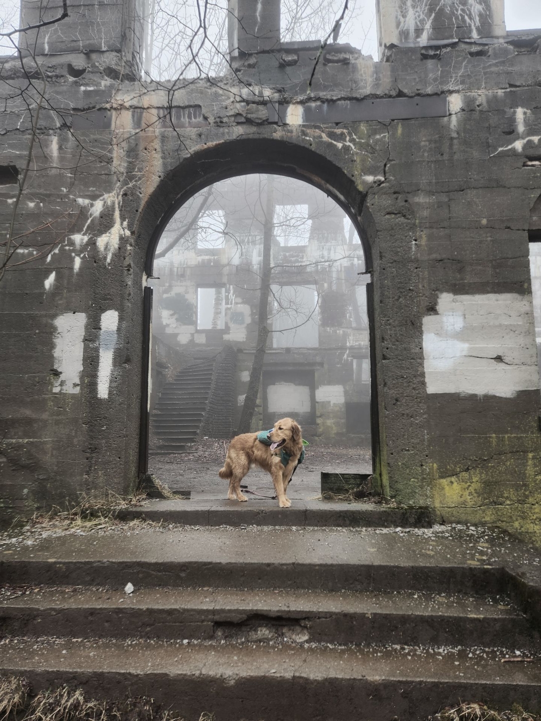 sunny in the ruins