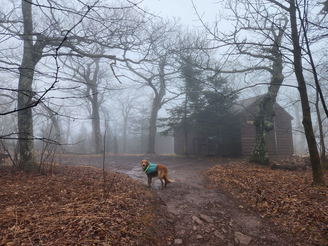 the cabin by the tower