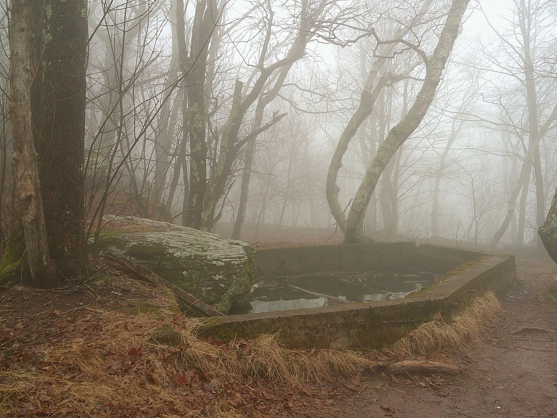 old fountain