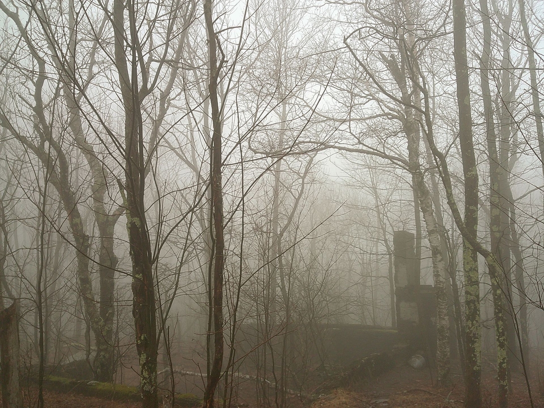 More outbuildings loomed in the fog near the trail.