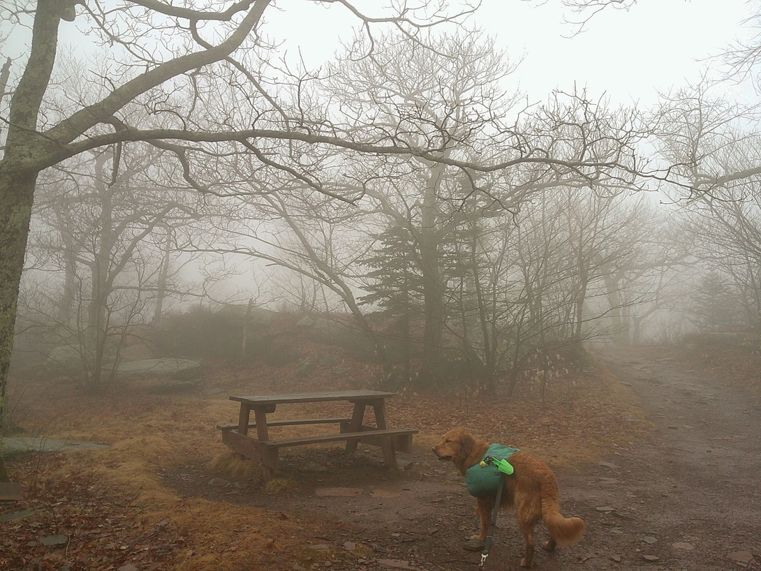 picnic table