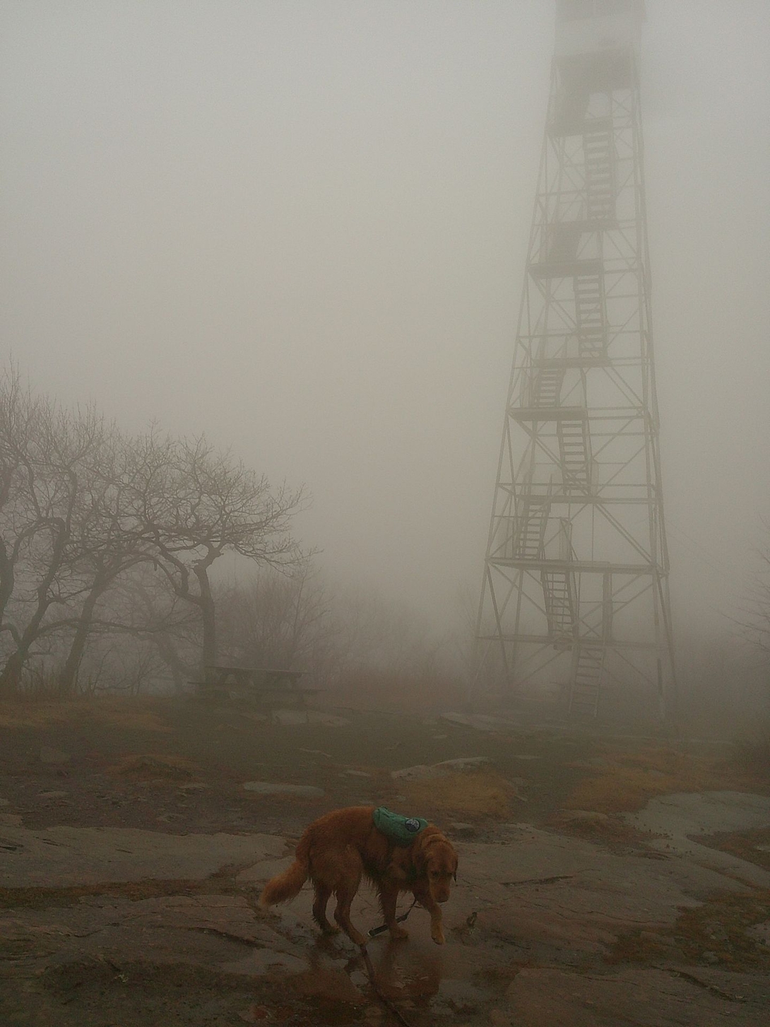 fire tower in the fog