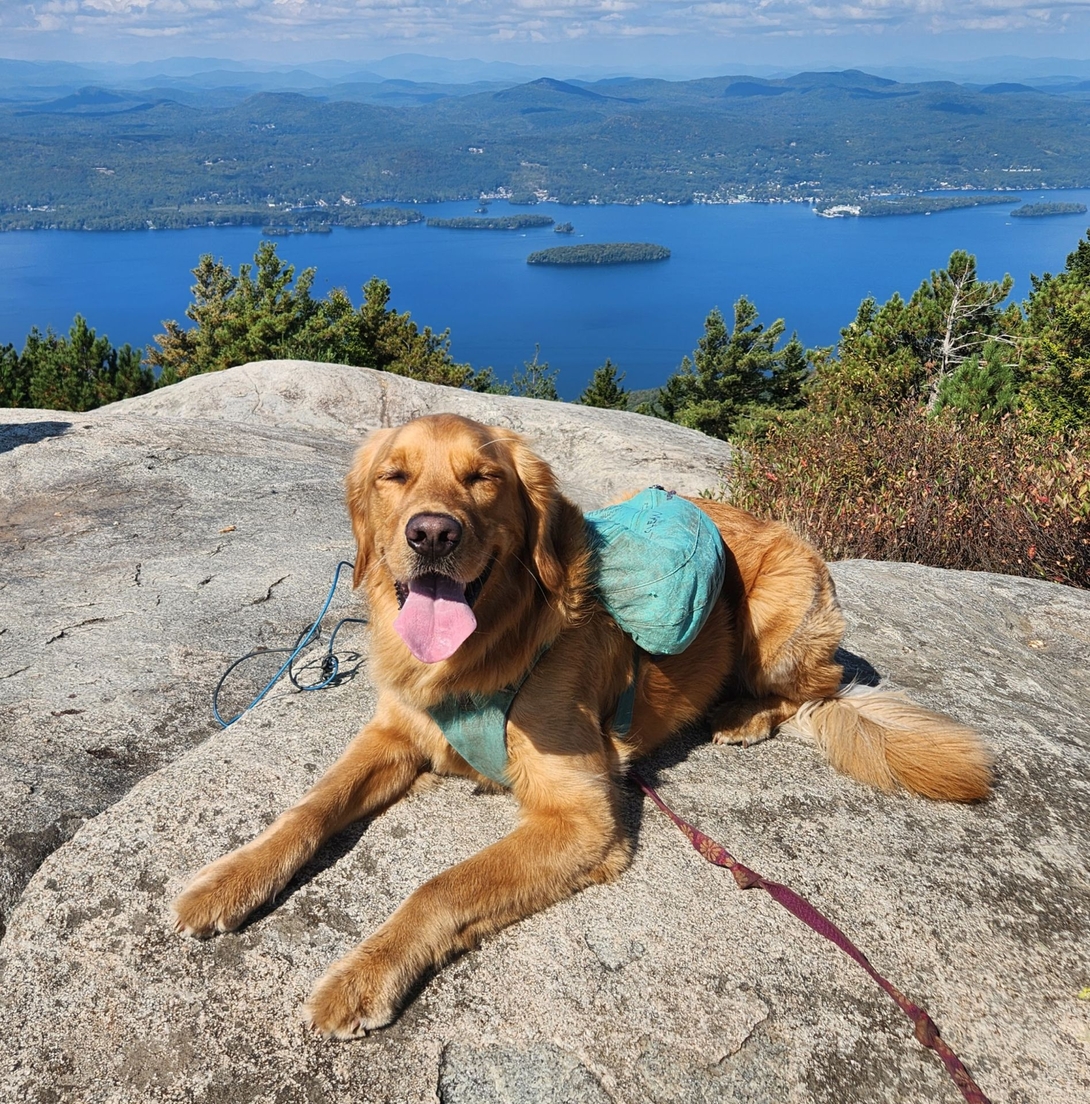 Sunny got tons of pets at the summit.