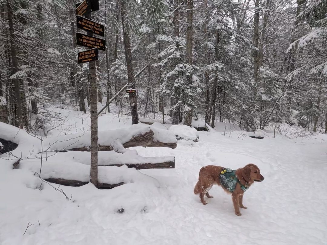 back at the junction