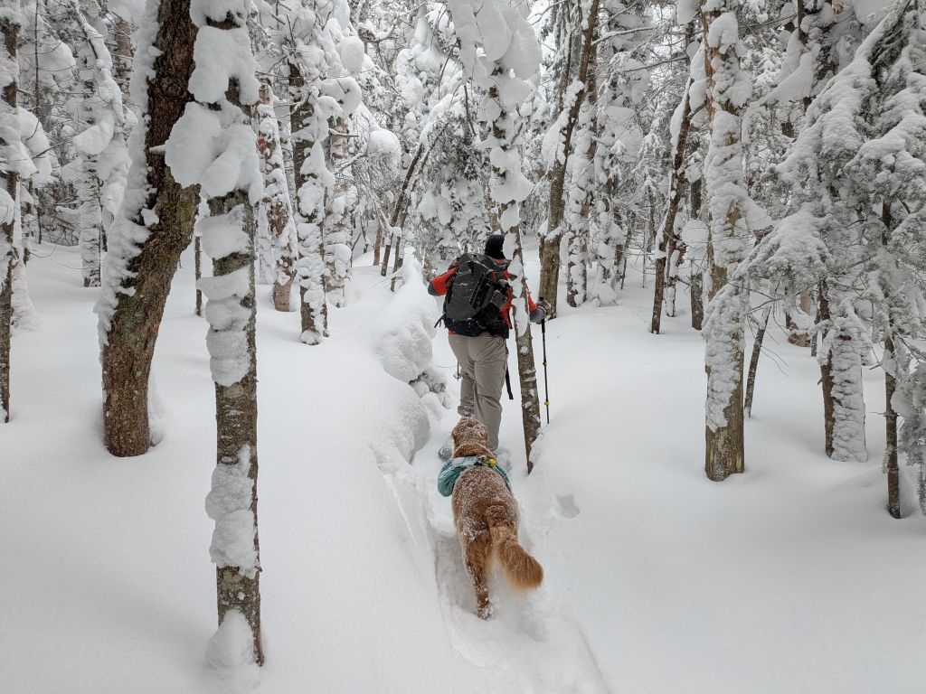 dan and sunny breaking trail