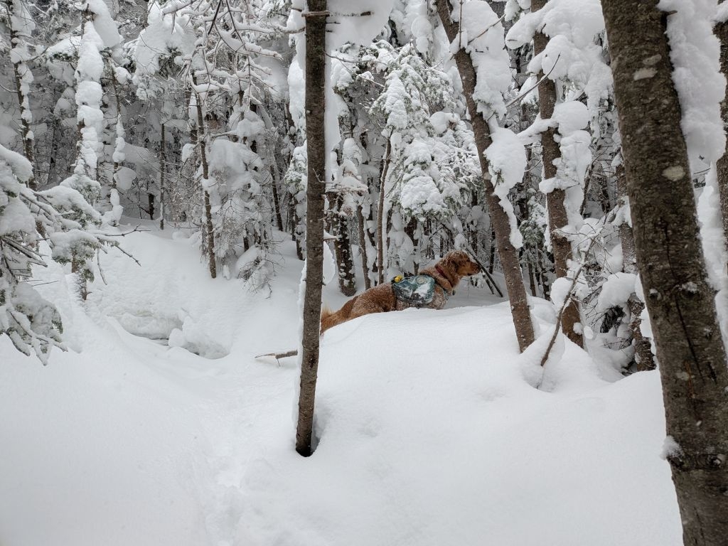 sunny about to make a bad decision