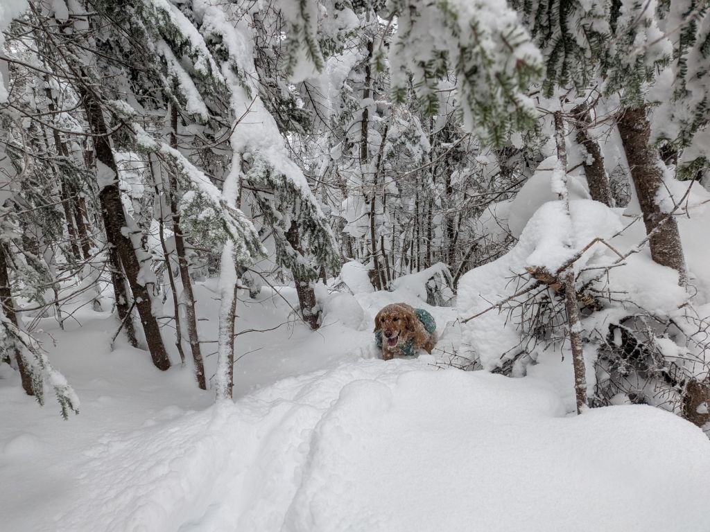 sunny realizing he made a poor decision