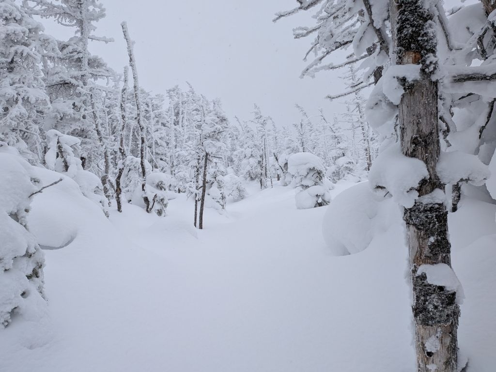 beautiful near the summit