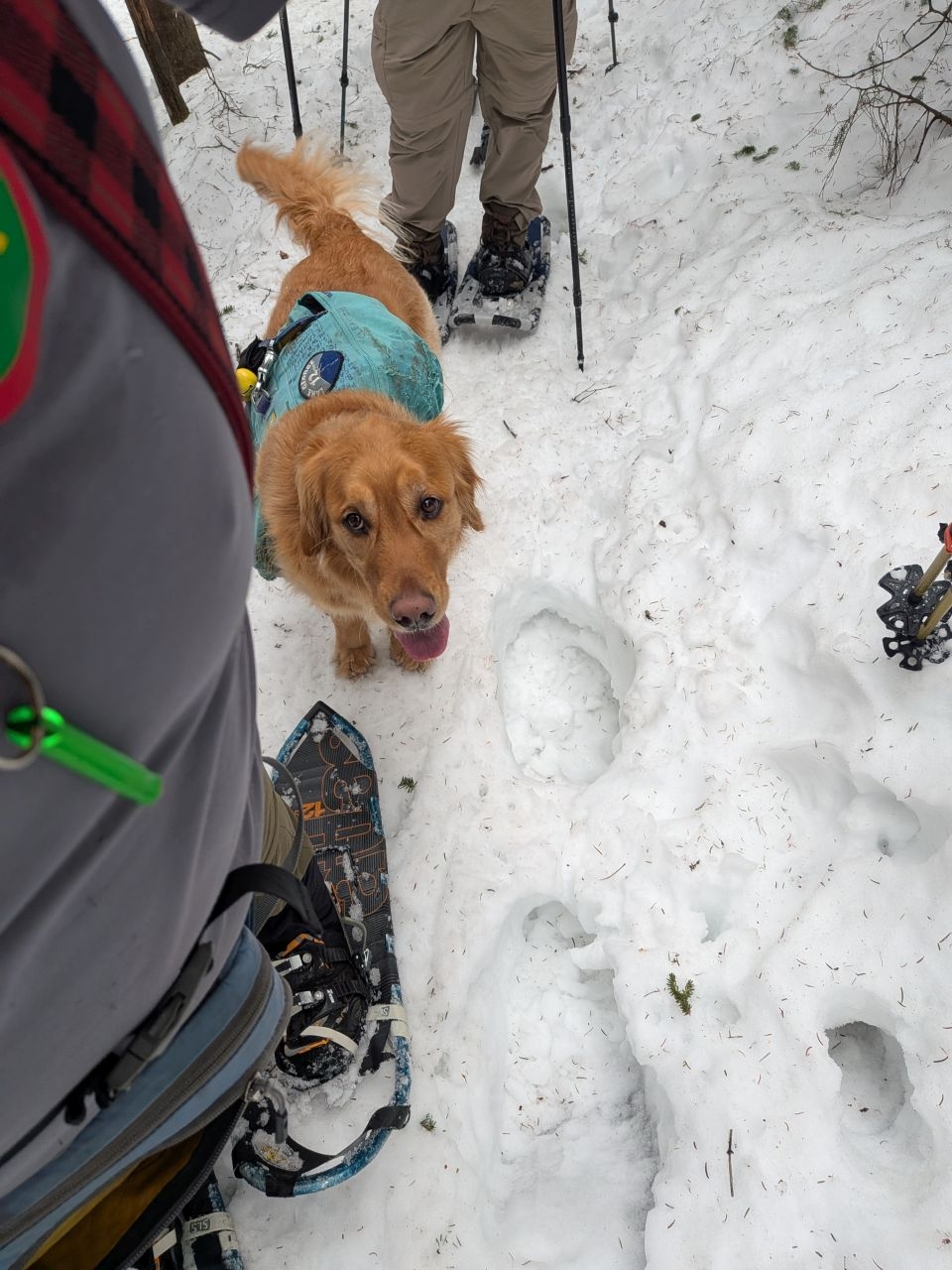 found the edge of the monorail