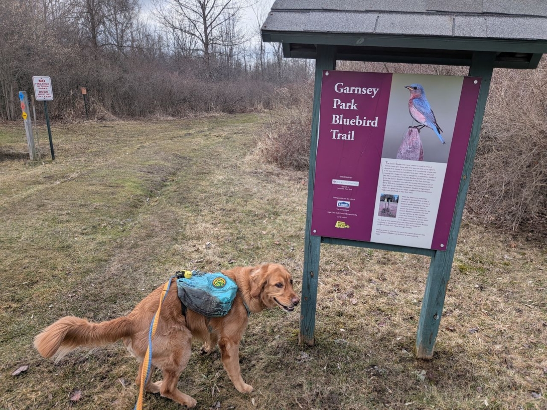 bluebird trail
