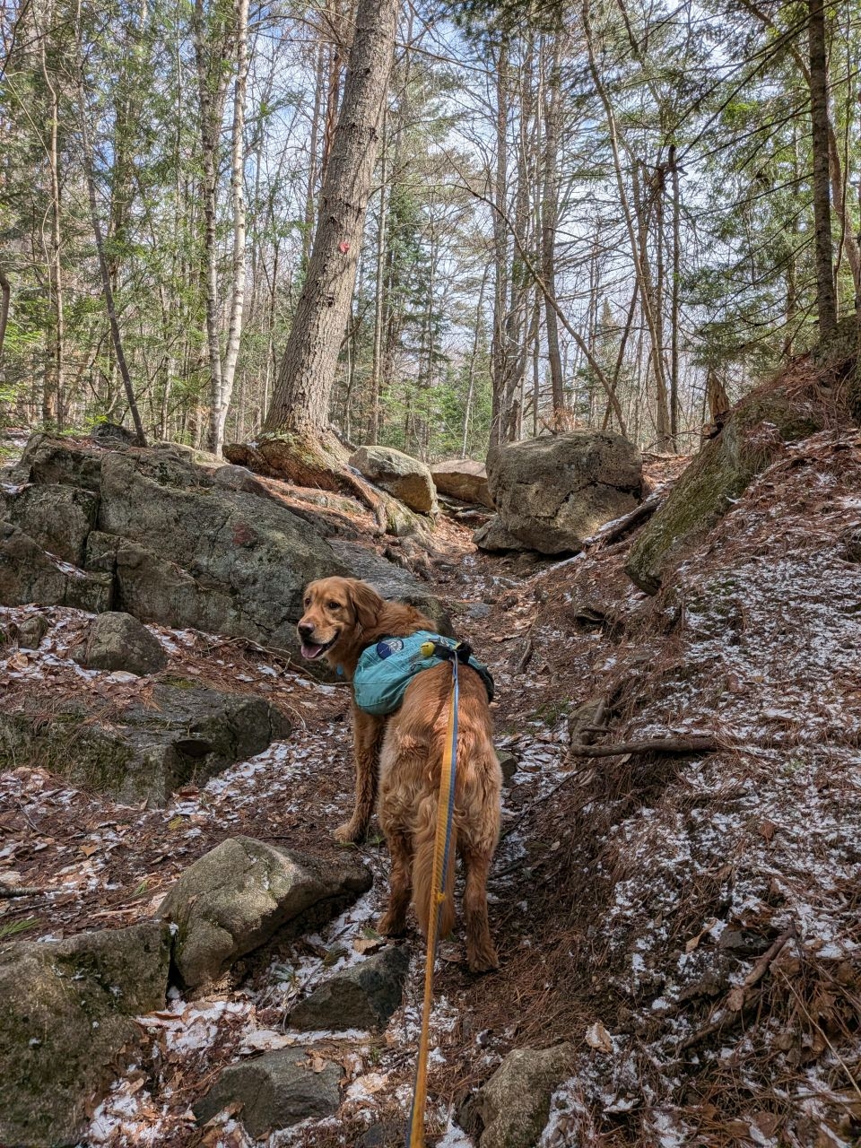 climbing almost immediately