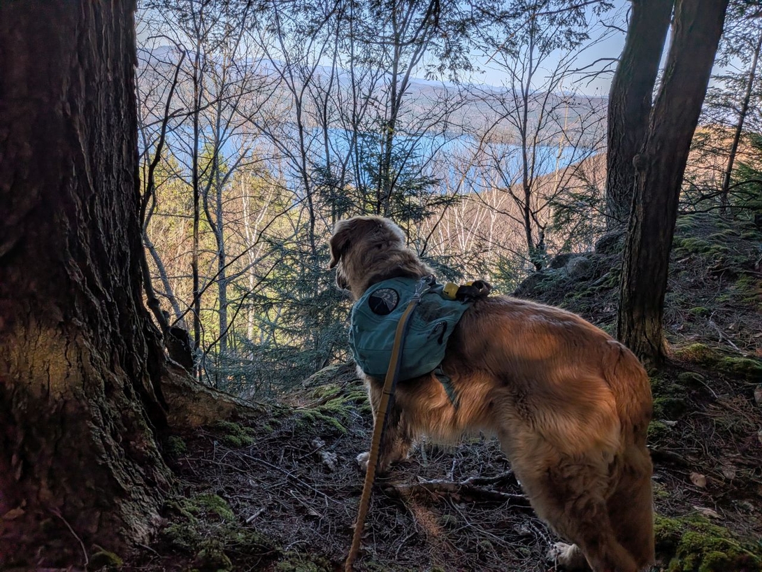 looking out over lake george