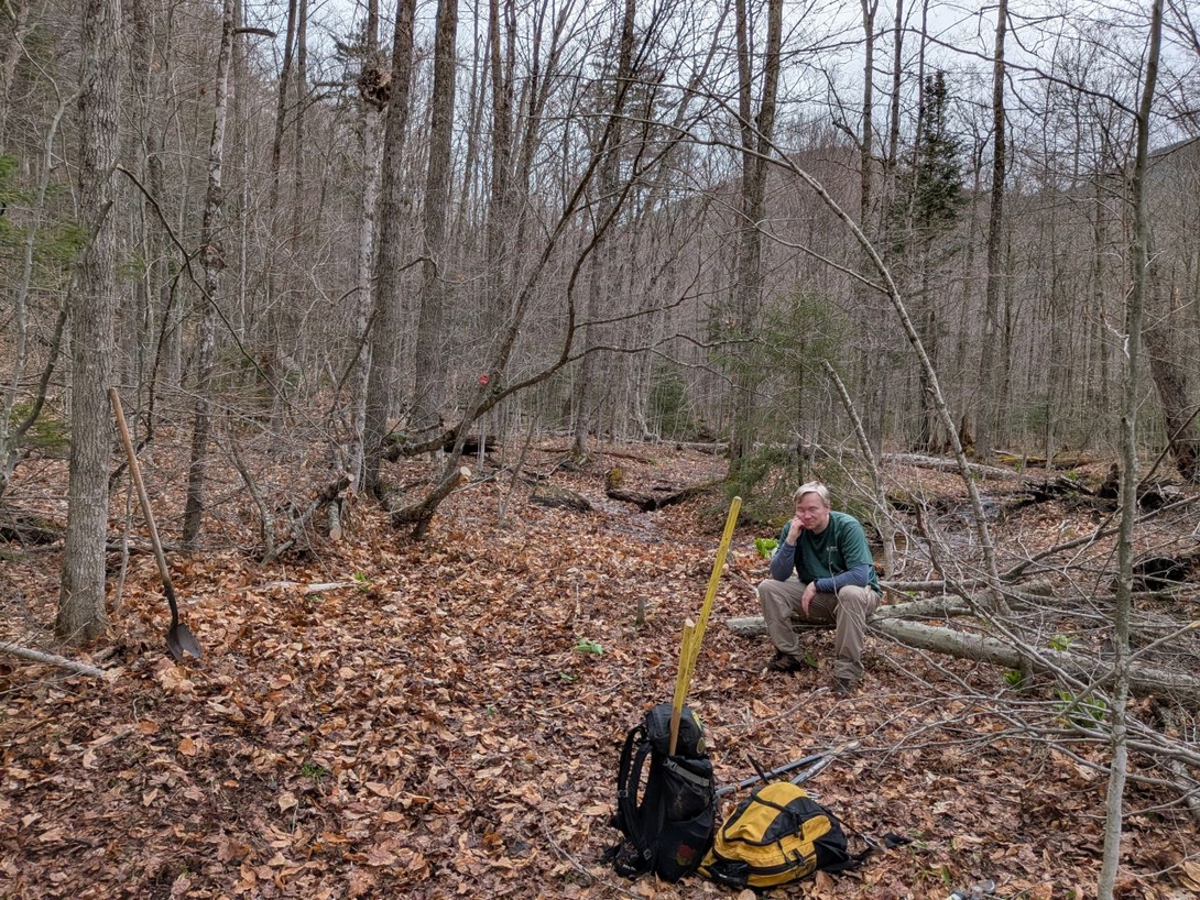 big  clearing