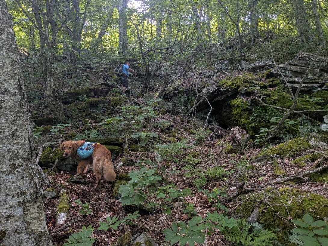 more climbing