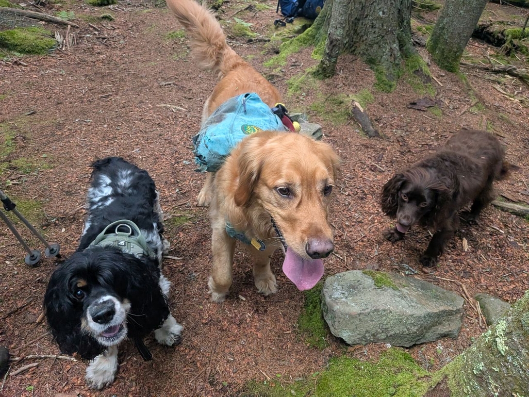 Sunny and the boys