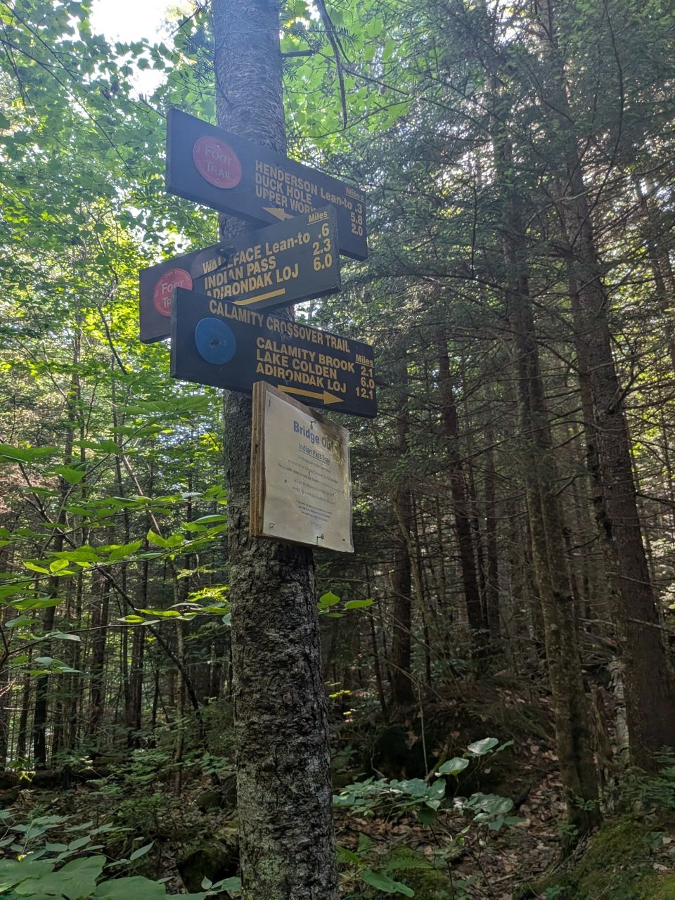 calamity junction