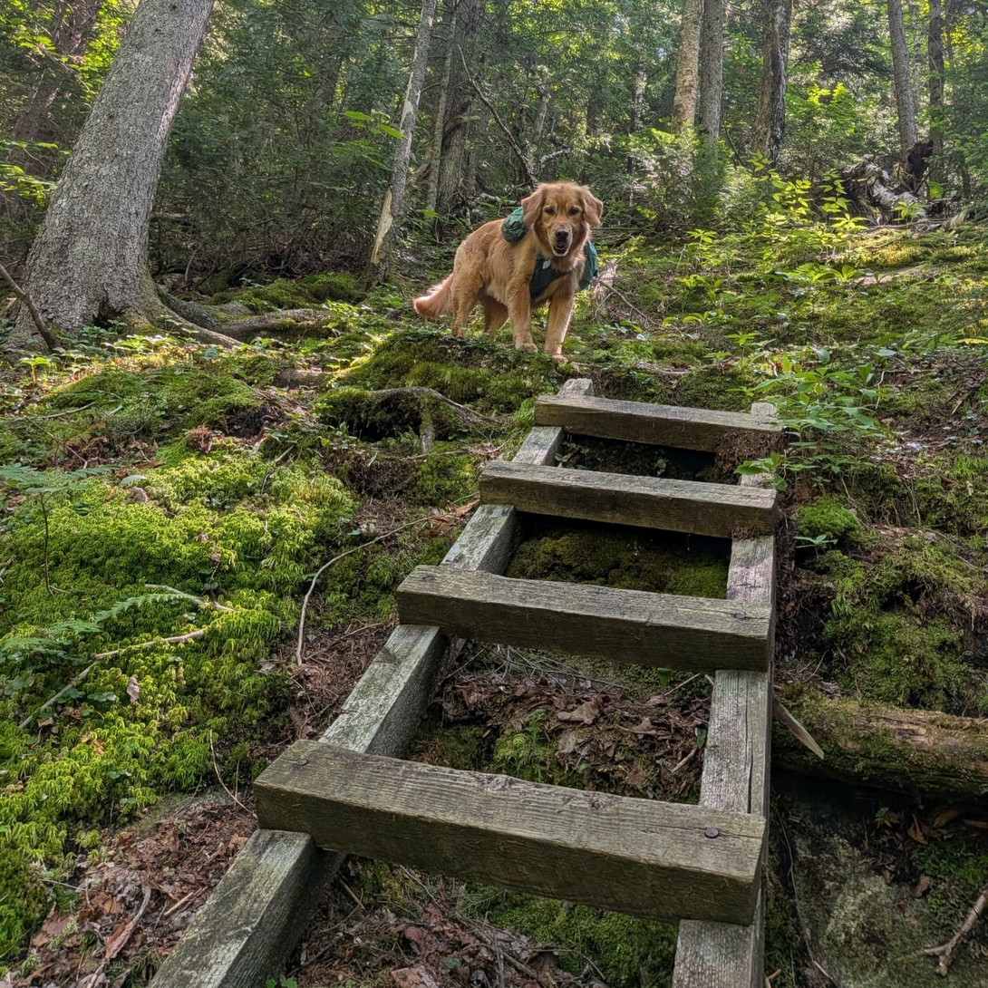 double stair