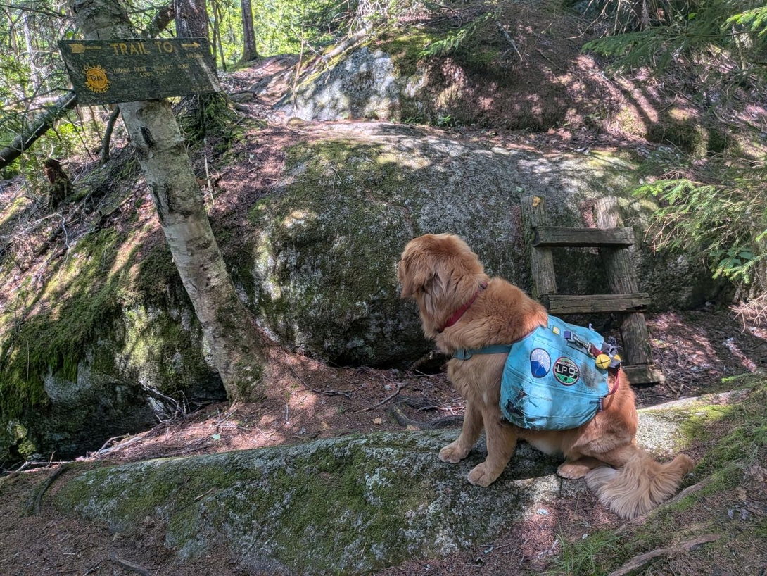 Stair to summit rock