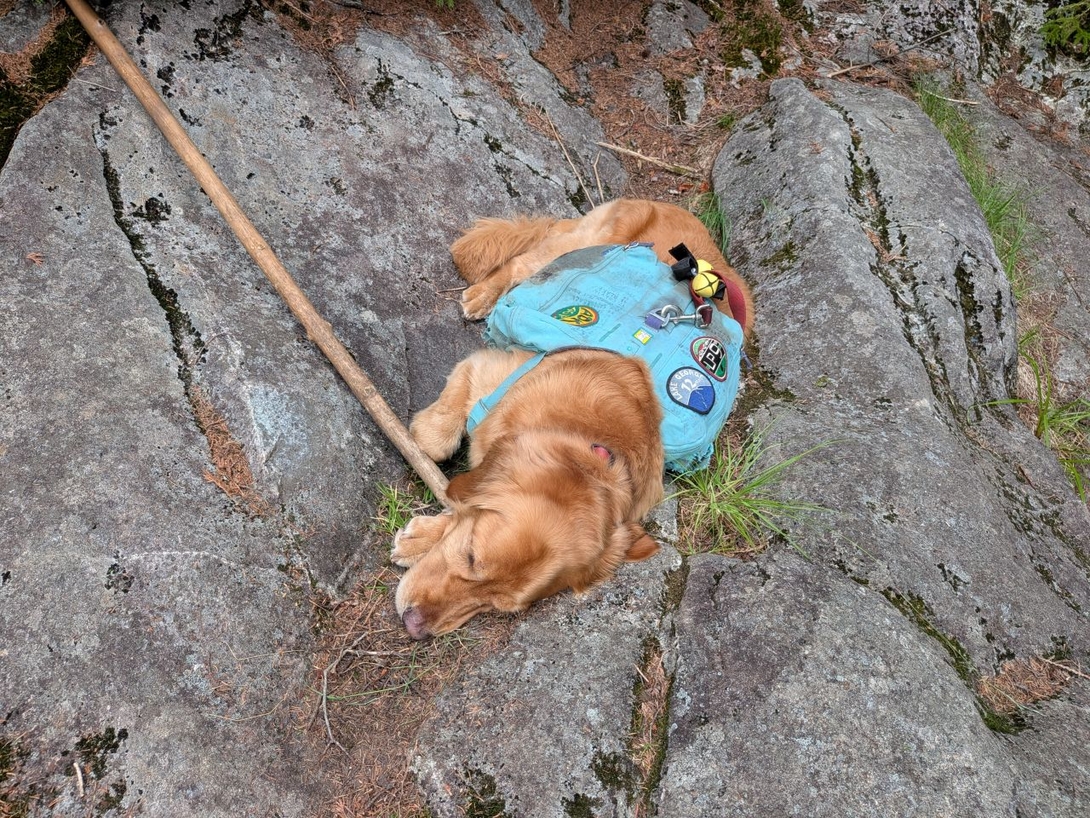 nap at summit rock