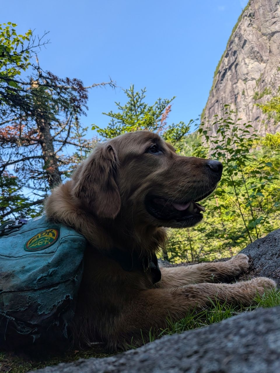 sunny and the wall