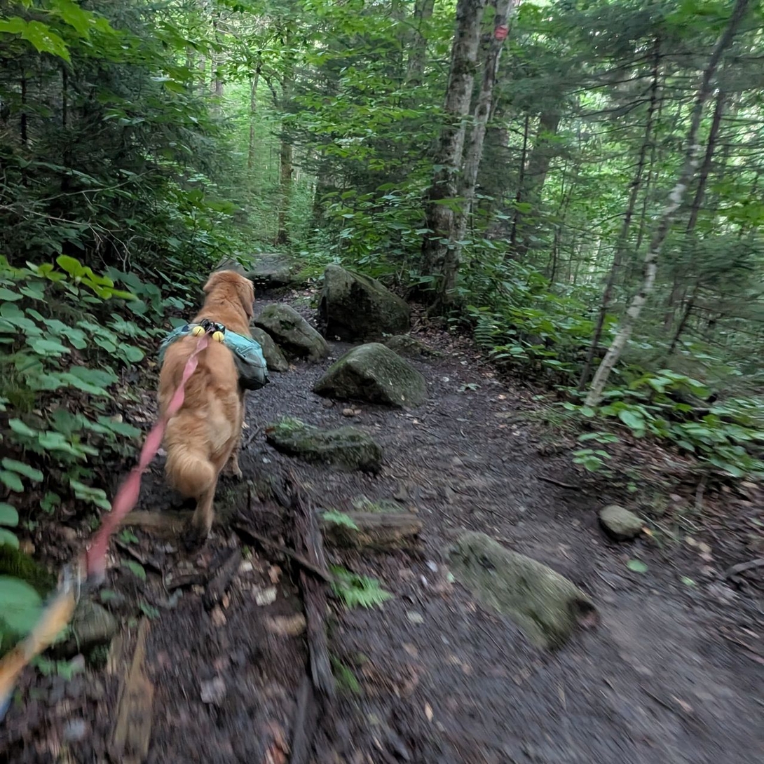 the trail