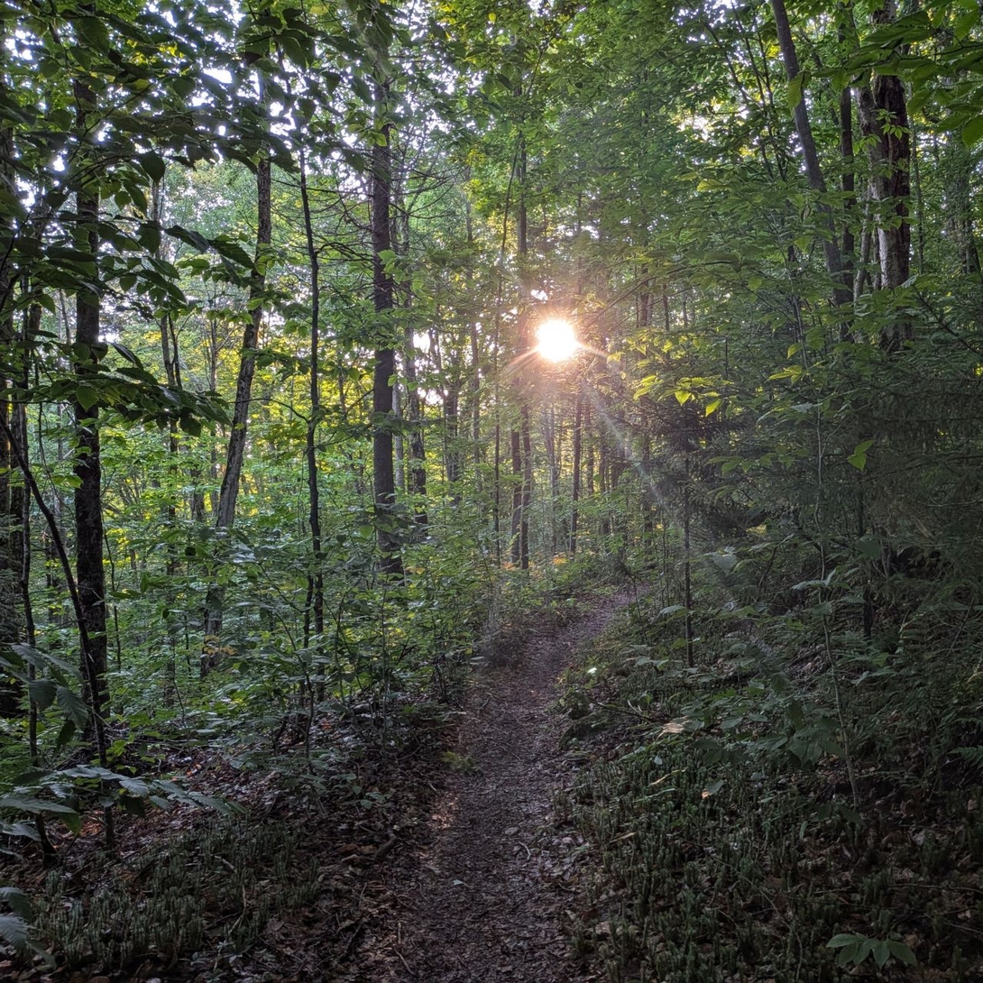sun rising down trail