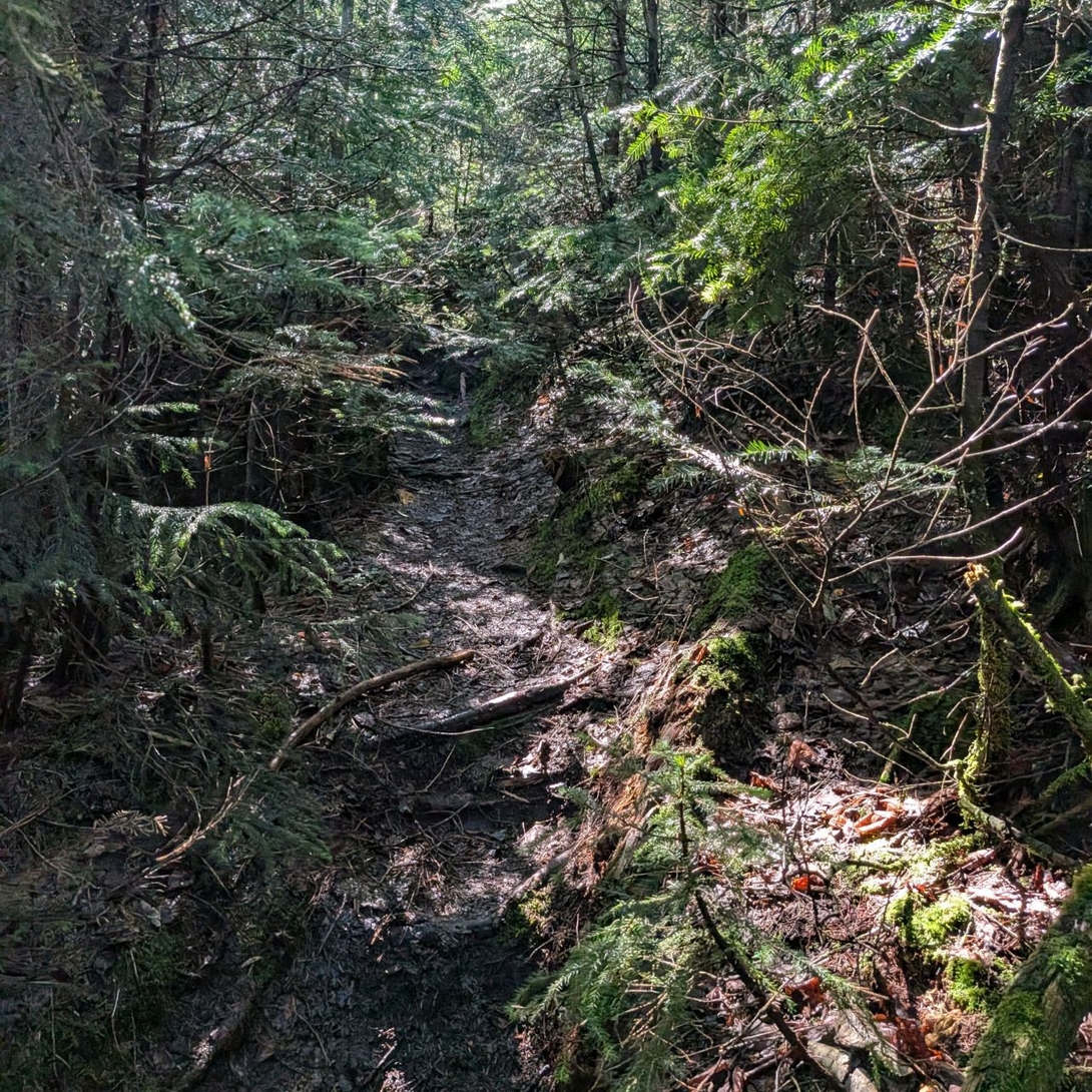 close trail
