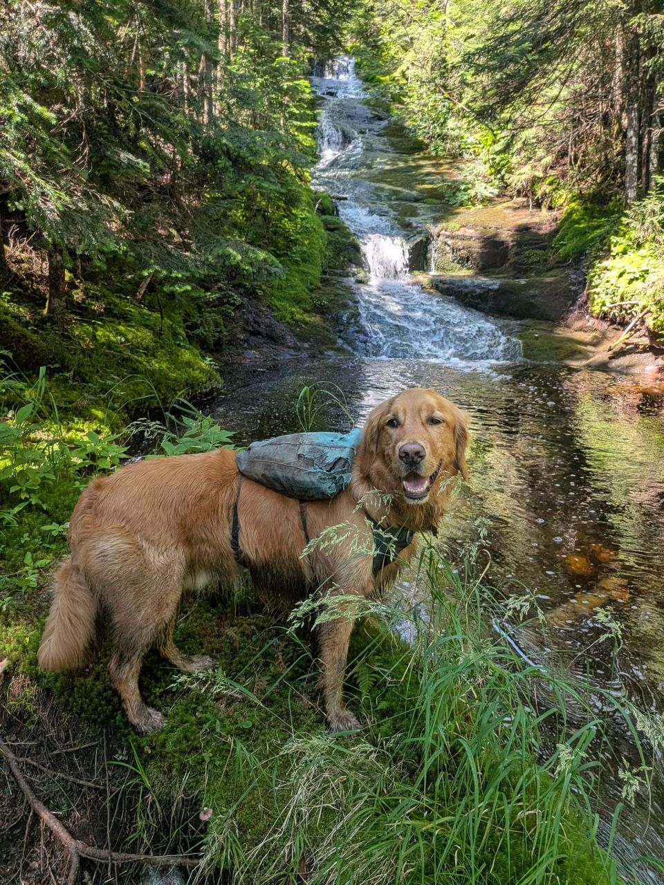 waterfall
