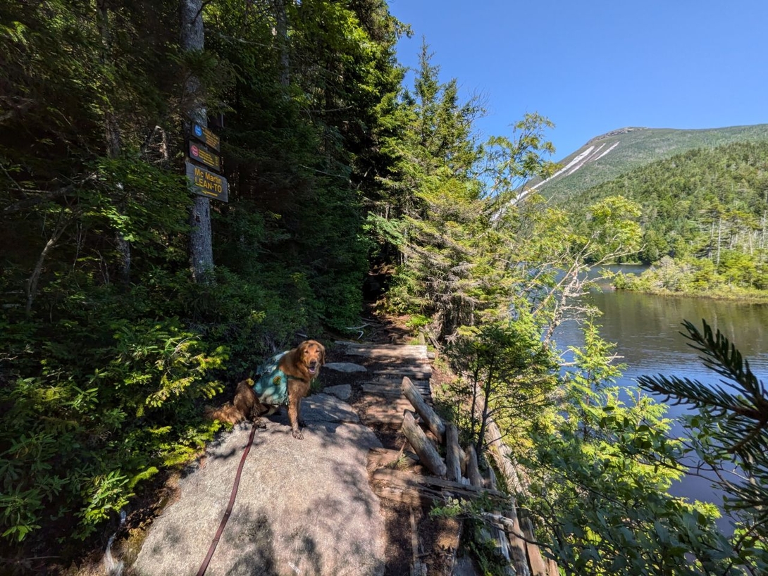 starting the hike along lake colden
